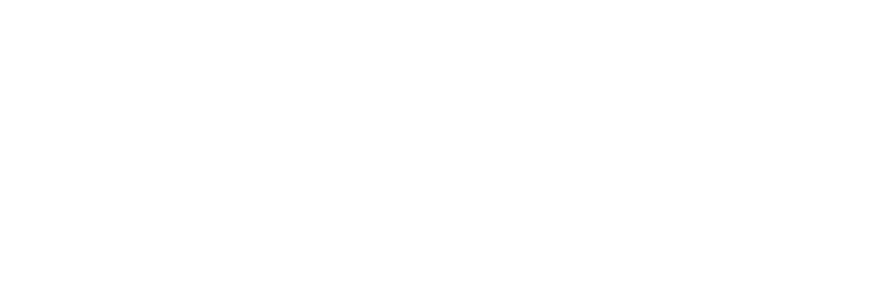 Website Design - The Graphic Vine
